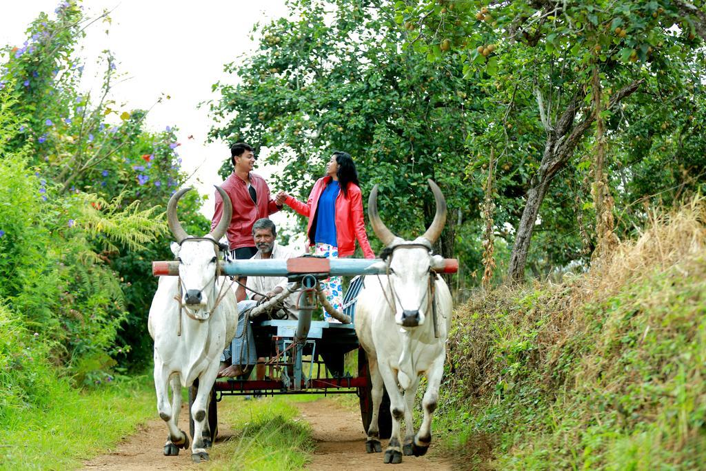 The Pear County Villa Kodaikanal Luaran gambar